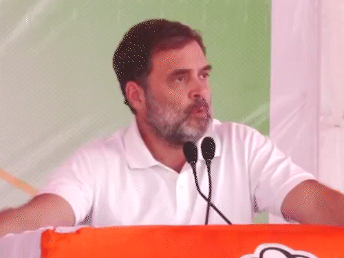 Rahul will start election campaign in Maharashtra from November 6: Opposition will issue common guarantee in Mumbai, Sharad Pawar and Uddhav Thackeray will be present