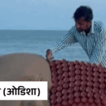 Diwali celebrations across the country: An art piece was created with 1000 diyas in Puri, Defense Minister will celebrate Diwali with the soldiers deployed on the India-China border