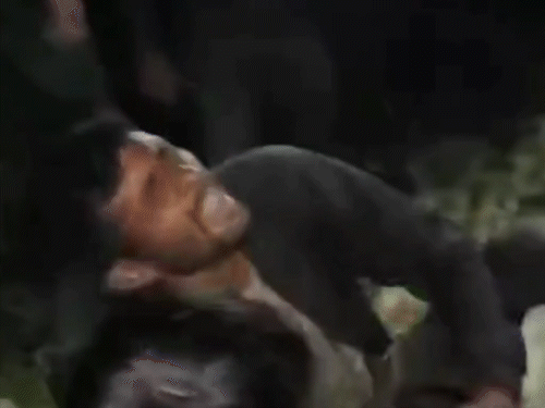 Terrorist attack in Budgam, Jammu and Kashmir: Two youths from UP shot; 7 people were killed 12 days ago