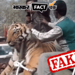 Fake News Expose: This viral video of a tiger being carried on an elephant is not from Bihar but from Uttarakhand