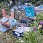 Bus falls into 100 meter deep gorge in Nainital: 4 dead including a child, 21 injured; accident happened while saving a car
