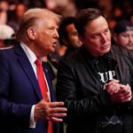 Trump supporters and Musk face to face over Indian immigrants: Musk in favor of hiring foreign workers, opponents said – this is against Trump’s policy