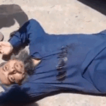 Lashkar terrorist Saifullah killed, shot in Pakistan: was the mastermind of the RSS headquarters and CRPF camp attack; had married a Nepali woman