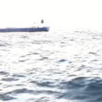Liberian cargo ship sinks in Kerala: Navy and Coast Guard rescue all 24 crew members; containers contained dangerous chemicals