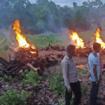 Last rites of 8 Naxalites including Basava Raju in Narayanpur: Police said- the dead body was rotting, it was burnt after the order of the magistrate