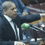 After Operation Sindoor, Pakistani PM said- will take revenge: Claim in Parliament- 5 fighter jets of India were shot down, 3 of them were Rafale