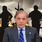 Pakistan, which spreads terror, has a big responsibility in UNSC: Taliban became the chairman of the sanctions committee, also the vice-chairman of the anti-terrorism committee