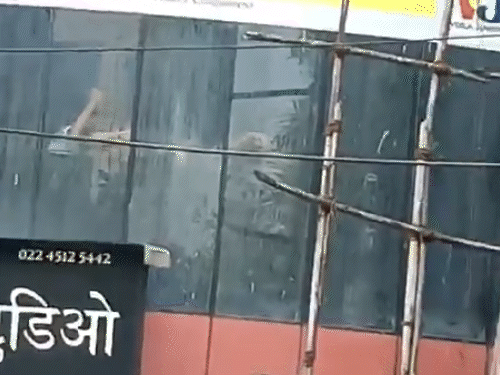Encounter with the captor of 17 children in Mumbai: Died during treatment; children were lured to a studio under the pretext of an audition; all were rescued.