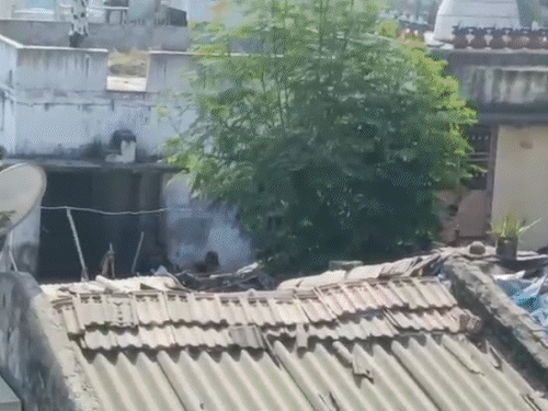Stone-pelting between two groups in Ahmedabad over a social media post: Clashes erupt twice in two days; police use drones to capture rioters hiding in fields.