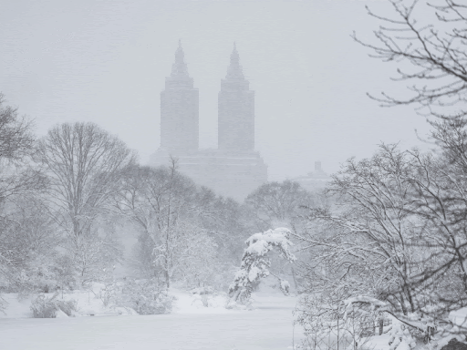 11,000 flights cancelled in the US due to a snowstorm; 500,000 homes lost power; newspapers were unable to print for the first time in 153 years.